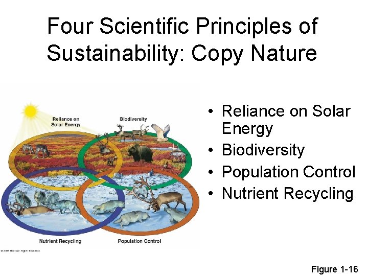 Four Scientific Principles of Sustainability: Copy Nature • Reliance on Solar Energy • Biodiversity