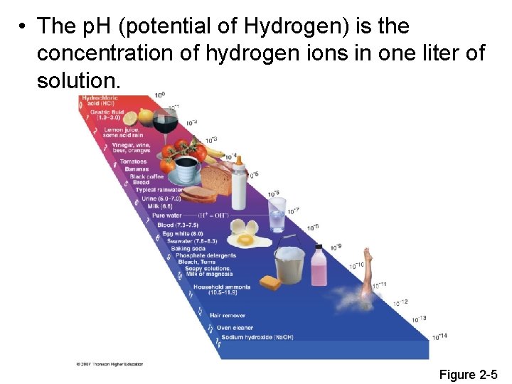  • The p. H (potential of Hydrogen) is the concentration of hydrogen ions