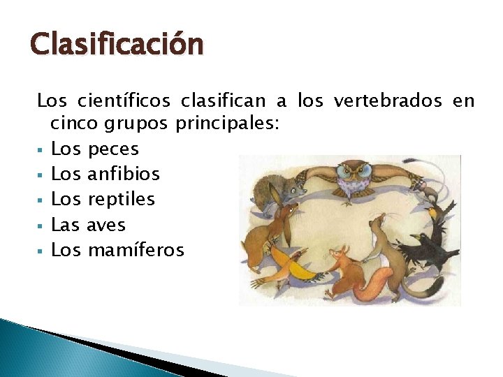 Clasificación Los científicos clasifican a los vertebrados en cinco grupos principales: § Los peces