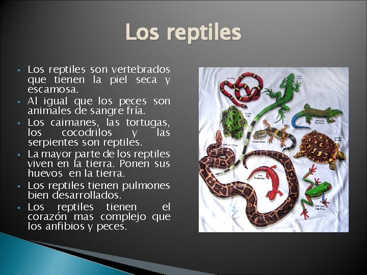 Los reptiles § § § Los reptiles son vertebrados que tienen la piel seca
