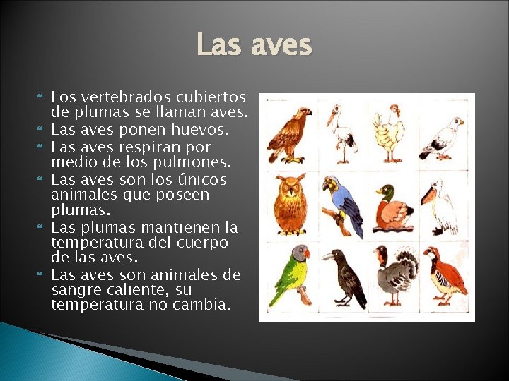 Las aves Los vertebrados cubiertos de plumas se llaman aves. Las aves ponen huevos.