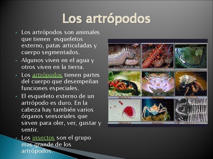 Los artrópodos § § § Los artrópodos son animales que tienen esqueletos externo, patas