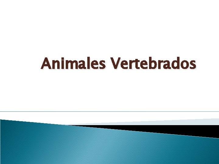 Animales Vertebrados 