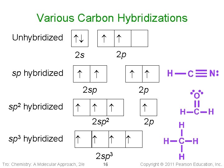 Various Carbon Hybridizations Unhybridized 2 p 2 s sp hybridized 2 sp 2 p