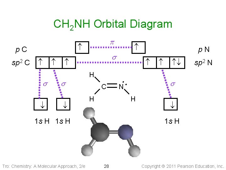 CH 2 NH Orbital Diagram s s s C H p. N ･･ N