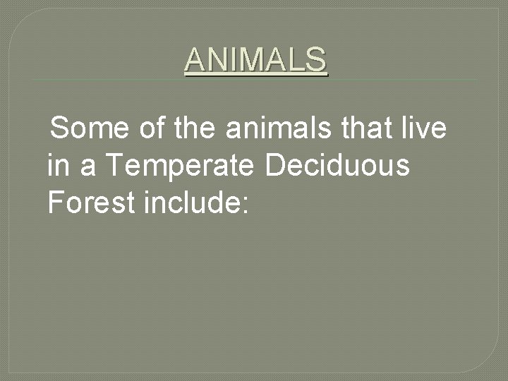ANIMALS Some of the animals that live in a Temperate Deciduous Forest include: 