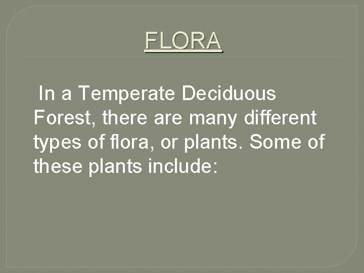 FLORA In a Temperate Deciduous Forest, there are many different types of flora, or