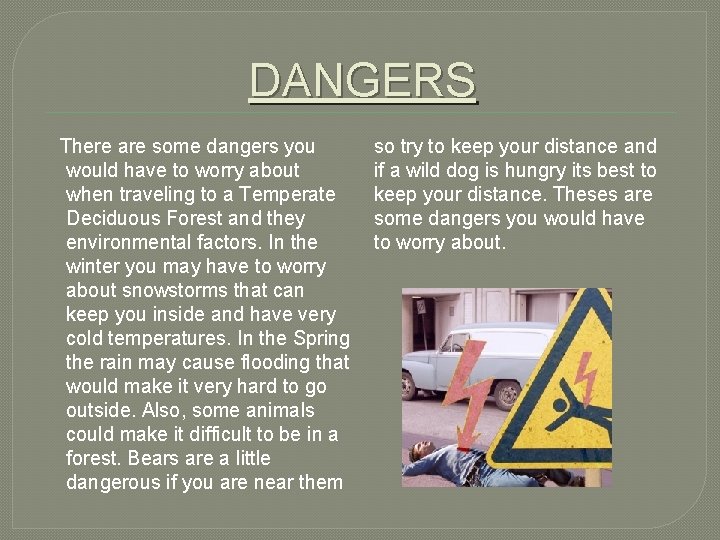 DANGERS There are some dangers you would have to worry about when traveling to