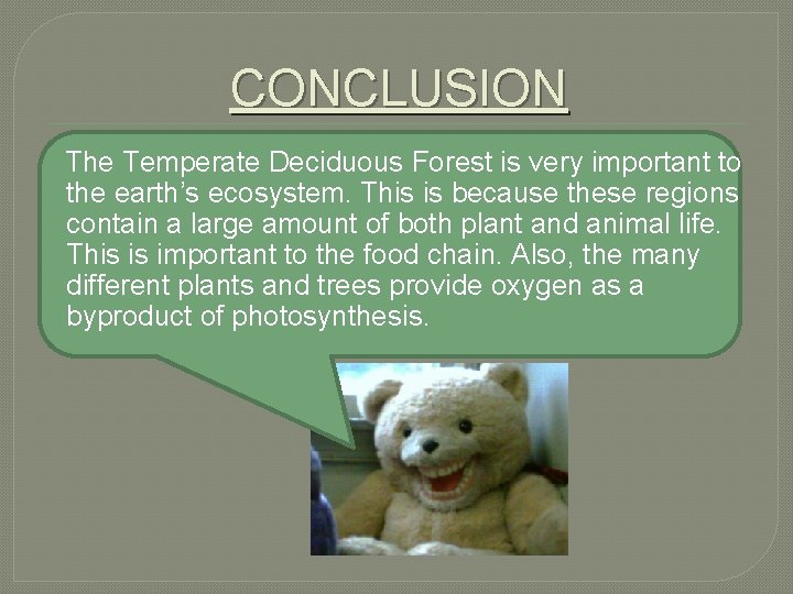 CONCLUSION The Temperate Deciduous Forest is very important to the earth’s ecosystem. This is