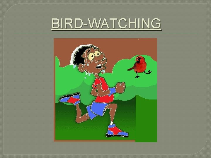 BIRD-WATCHING 