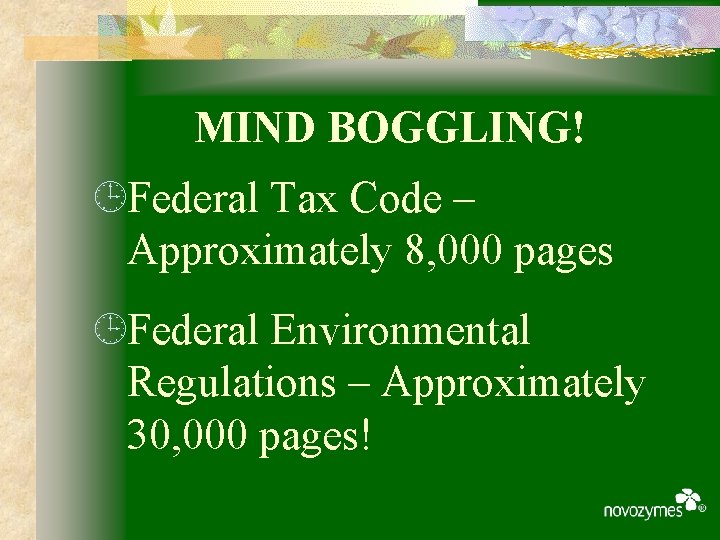 MIND BOGGLING! ¹Federal Tax Code – Approximately 8, 000 pages ¹Federal Environmental Regulations –