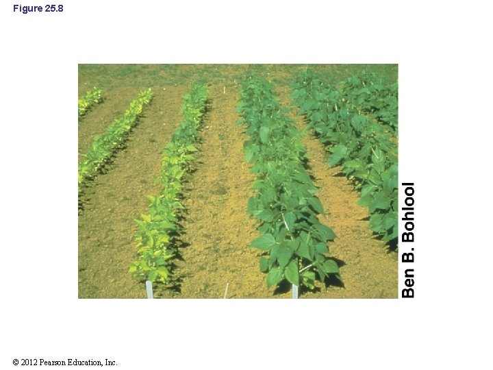 Figure 25. 8 © 2012 Pearson Education, Inc. 