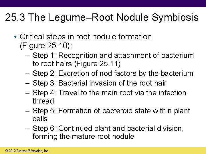 25. 3 The Legume–Root Nodule Symbiosis • Critical steps in root nodule formation (Figure