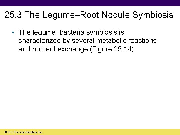 25. 3 The Legume–Root Nodule Symbiosis • The legume–bacteria symbiosis is characterized by several