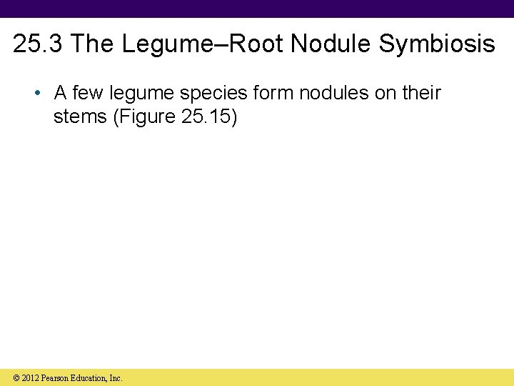 25. 3 The Legume–Root Nodule Symbiosis • A few legume species form nodules on