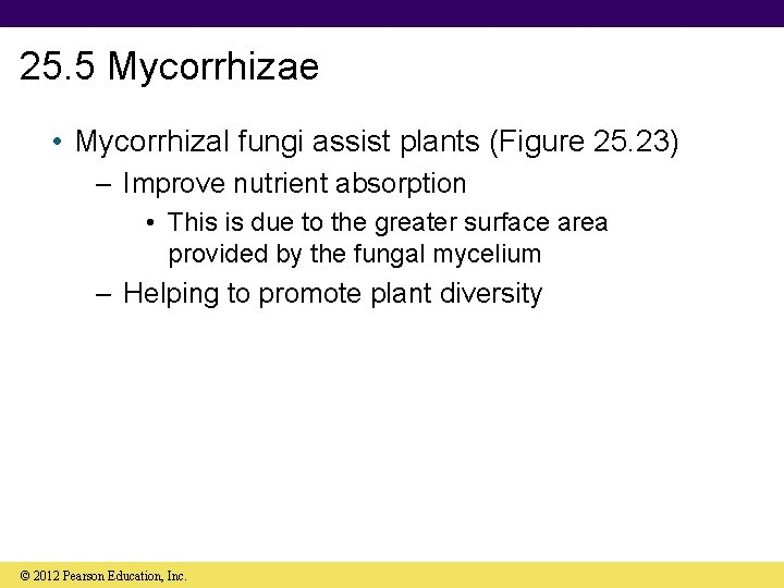 25. 5 Mycorrhizae • Mycorrhizal fungi assist plants (Figure 25. 23) – Improve nutrient
