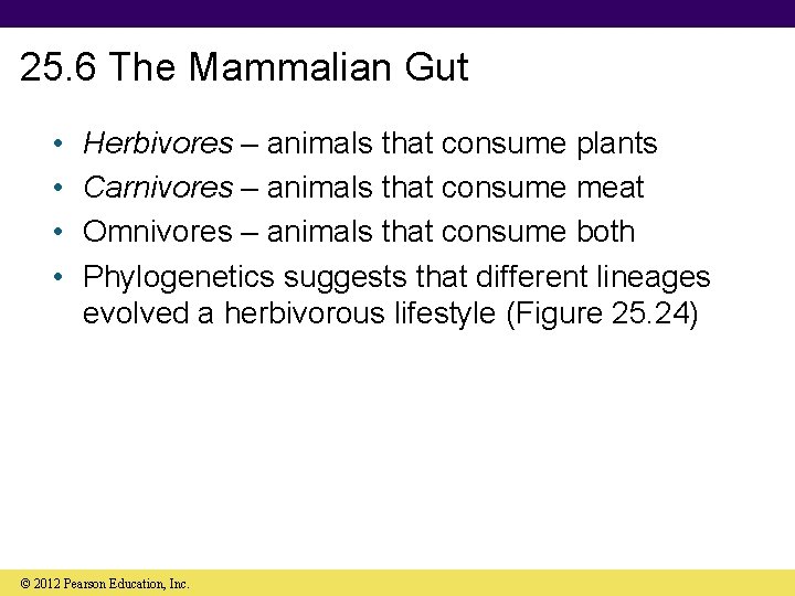 25. 6 The Mammalian Gut • • Herbivores – animals that consume plants Carnivores