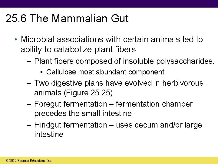 25. 6 The Mammalian Gut • Microbial associations with certain animals led to ability