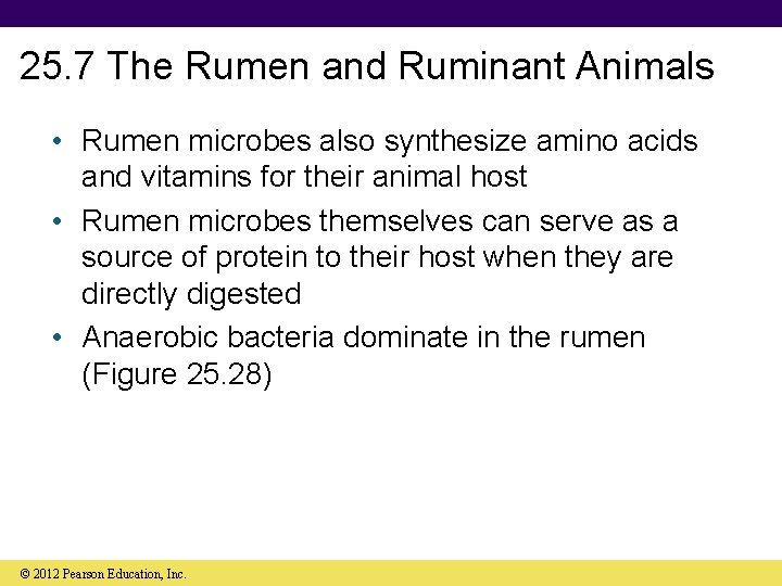 25. 7 The Rumen and Ruminant Animals • Rumen microbes also synthesize amino acids