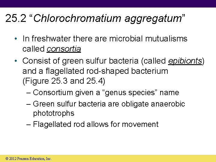 25. 2 “Chlorochromatium aggregatum” • In freshwater there are microbial mutualisms called consortia •