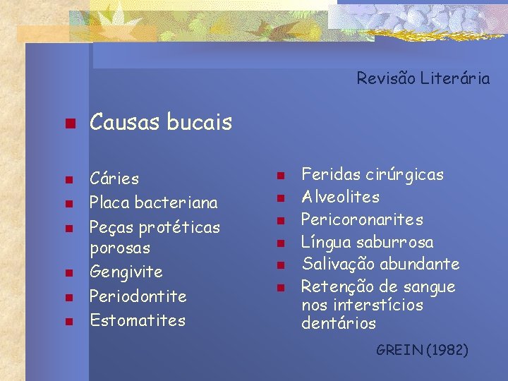 Revisão Literária n n n n Causas bucais Cáries Placa bacteriana Peças protéticas porosas