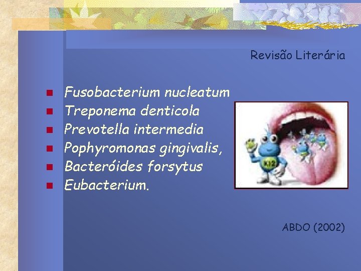 Revisão Literária n n n Fusobacterium nucleatum Treponema denticola Prevotella intermedia Pophyromonas gingivalis, Bacteróides