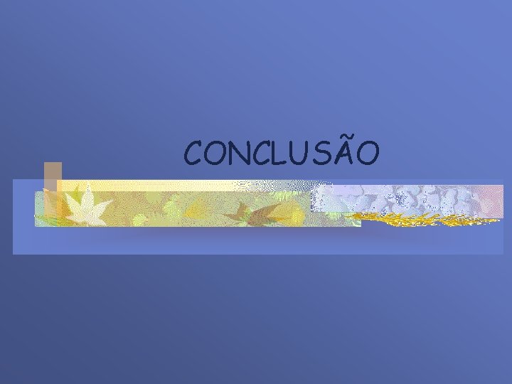 CONCLUSÃO 