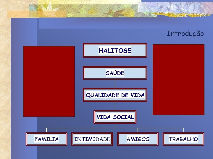 Introdução Introdução