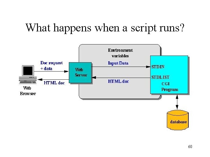 What happens when a script runs? 60 