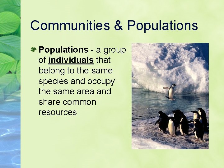 Communities & Populations - a group of individuals that belong to the same species