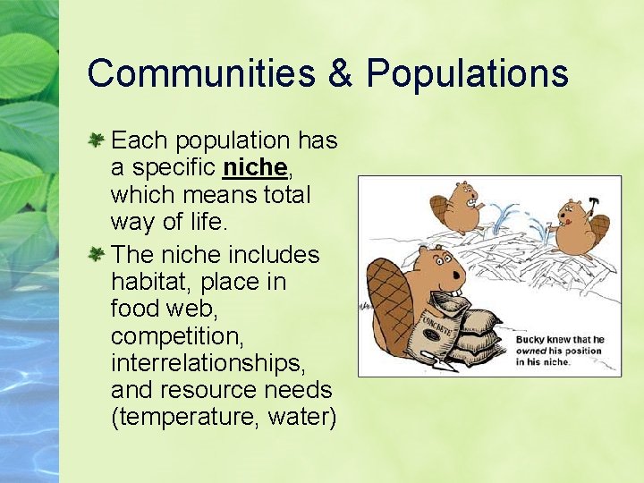 Communities & Populations Each population has a specific niche, which means total way of