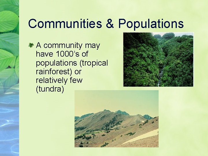 Communities & Populations A community may have 1000’s of populations (tropical rainforest) or relatively