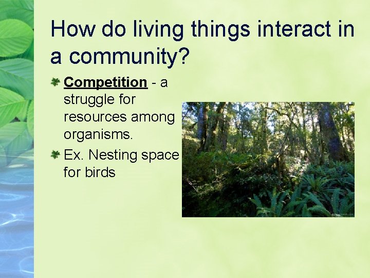 How do living things interact in a community? Competition - a struggle for resources