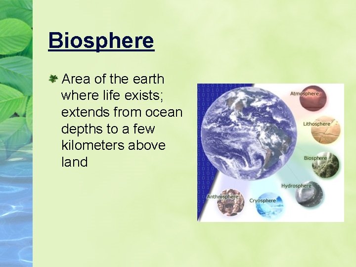 Biosphere Area of the earth where life exists; extends from ocean depths to a