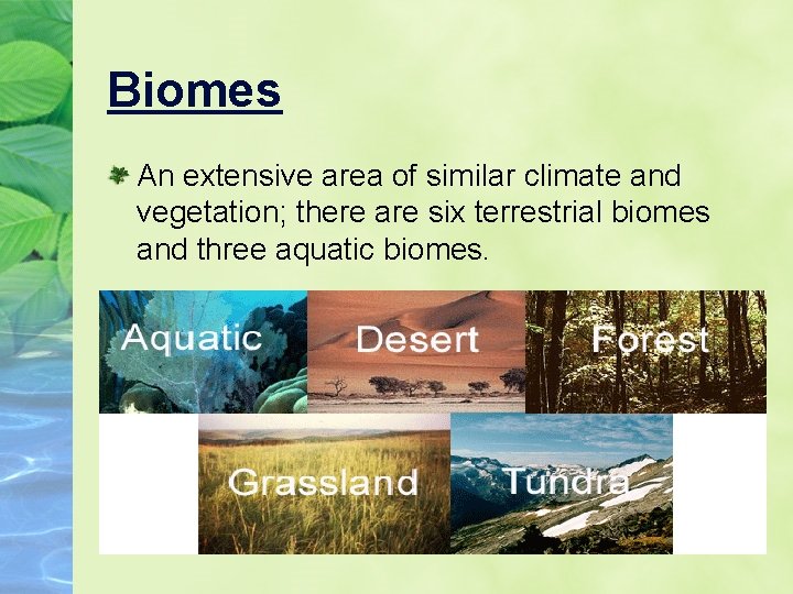 Biomes An extensive area of similar climate and vegetation; there are six terrestrial biomes