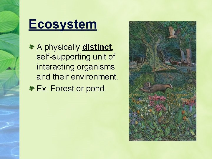 Ecosystem A physically distinct, self-supporting unit of interacting organisms and their environment. Ex. Forest