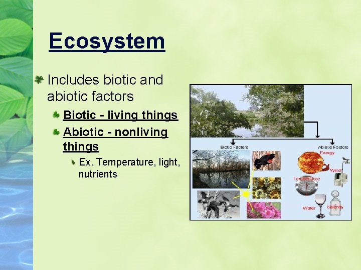 Ecosystem Includes biotic and abiotic factors Biotic - living things Abiotic - nonliving things