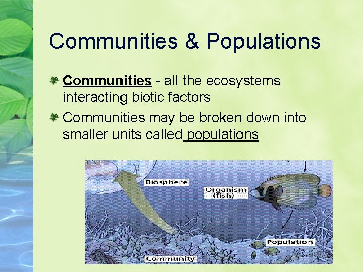 Communities & Populations Communities - all the ecosystems interacting biotic factors Communities may be