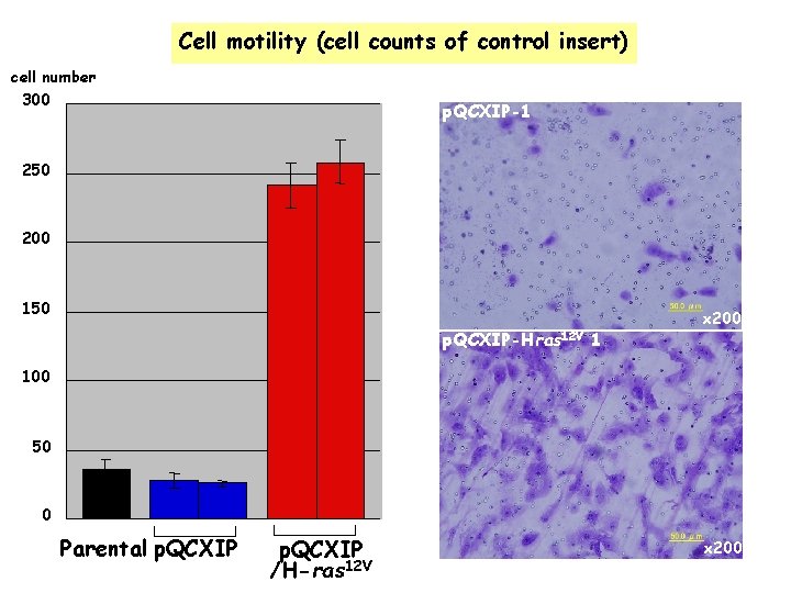 Cell motility (cell counts of control insert) cell number 300 p. QCXIP-1 250 200