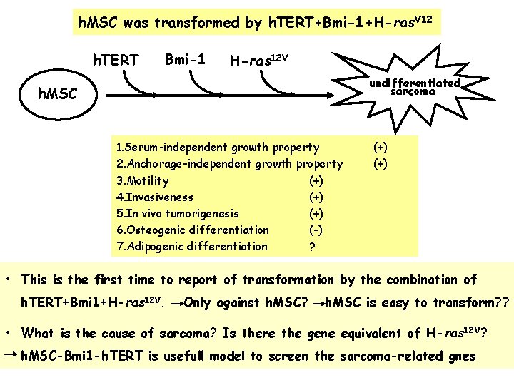 h. MSC was transformed by h. TERT+Bmi-1+H-ras. V 12 h. TERT Bmi-1 H-ras 12