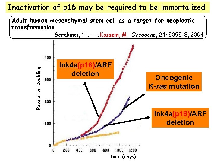 Inactivation of p 16 may be required to be immortalized Adult human mesenchymal stem