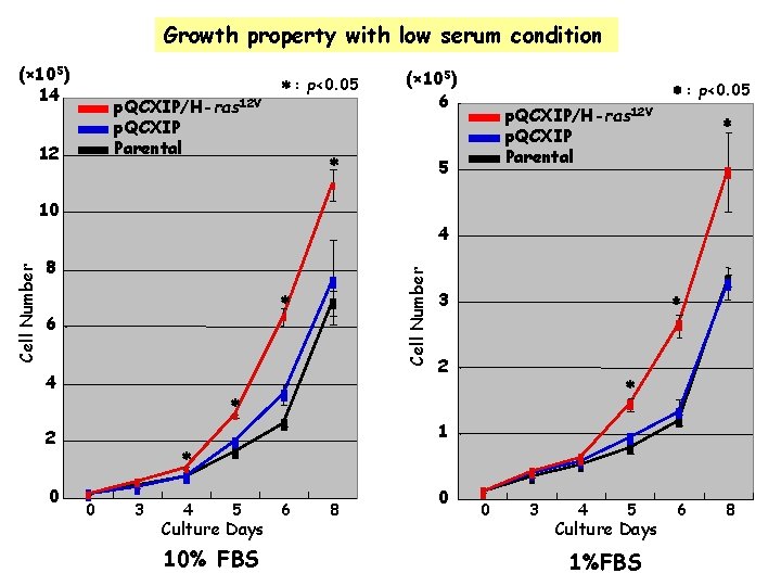 Growth property with low serum condition (× 105) 14 p. QCXIP/H-ras 12 V ＊: