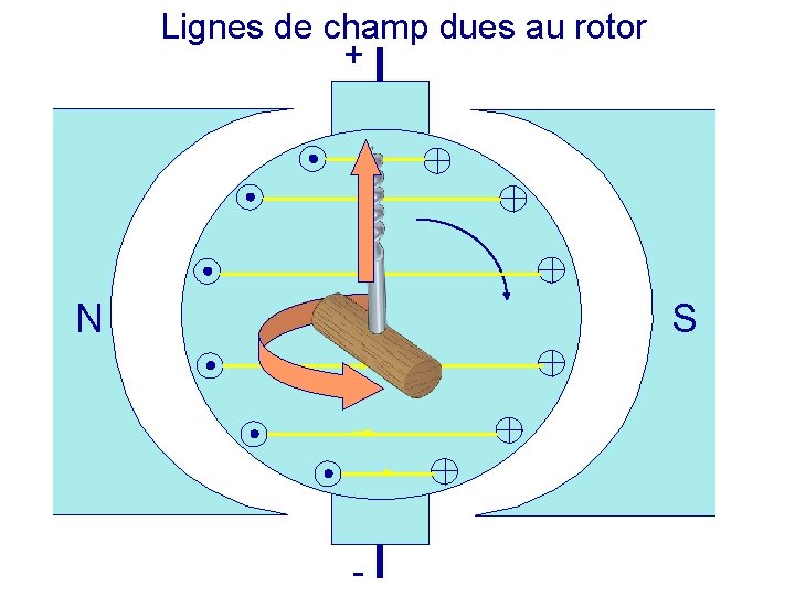 Lignes de champ dues au rotor + N S - 