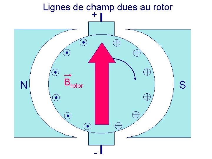 Lignes de champ dues au rotor + N Brotor S - 