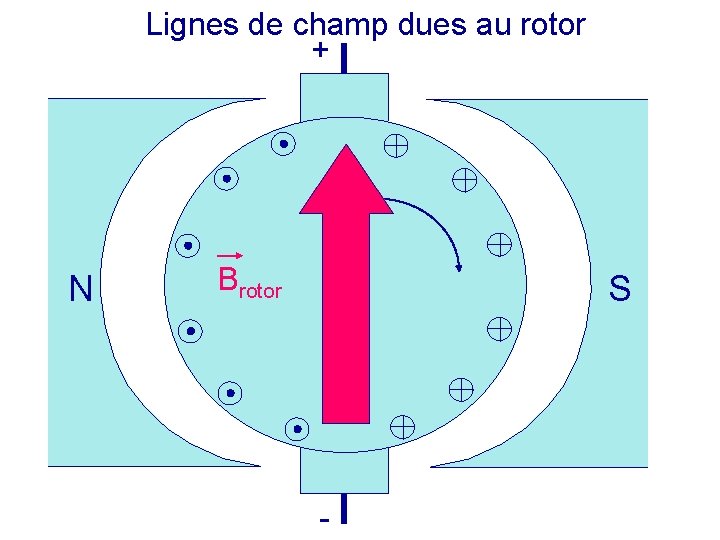 Lignes de champ dues au rotor + N Brotor S - 