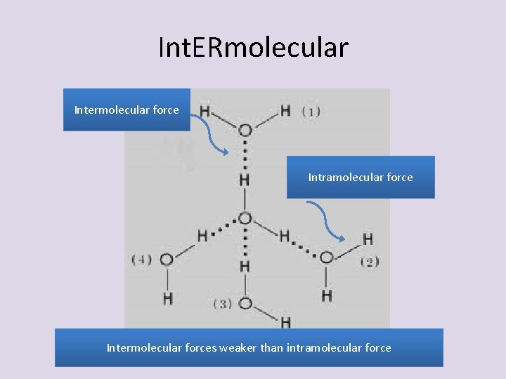 Int. ERmolecular Intermolecular force Intramolecular force Intermolecular forces weaker than intramolecular force 