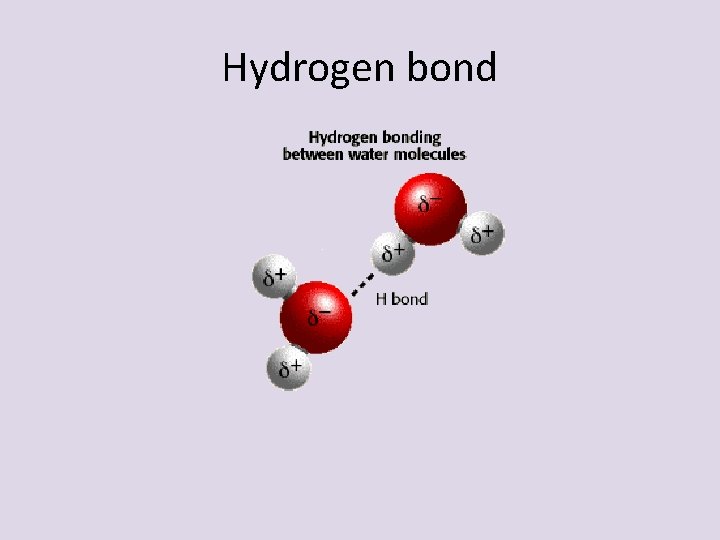 Hydrogen bond Hydrogen bond