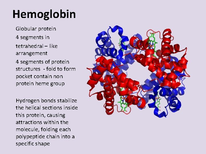 Hemoglobin Globular protein 4 segments in tetrahedral – like arrangement 4 segments of protein