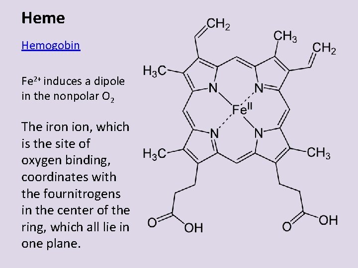 Heme Hemogobin Fe 2+ induces a dipole in the nonpolar O 2 The iron