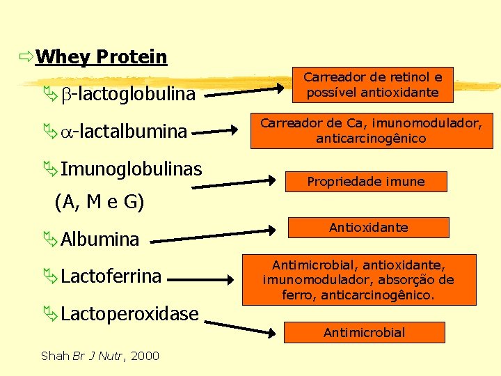 ðWhey Protein Ä -lactoglobulina Ä -lactalbumina ÄImunoglobulinas (A, M e G) ÄAlbumina ÄLactoferrina ÄLactoperoxidase